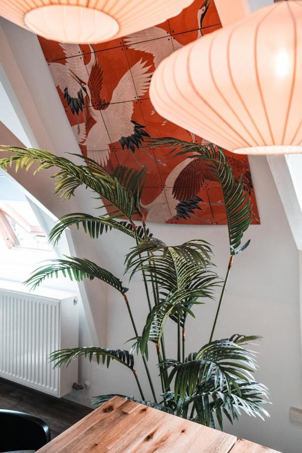 Casa Coral - A Hidden Gem For Families Apartment Groningen Bagian luar foto